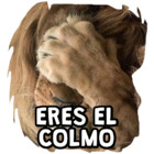 Eres el colmo