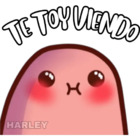 TE TOY VIENDO