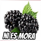 NI ES MORA