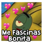 Me Fascinas Bonita