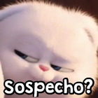 Sospecho?