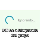 Pili os a bloqueado del grupo