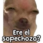 Ere el sopechozo?