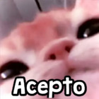 Acepto