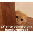 ¿Y si te compro una hamburguesa?