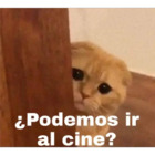 ¿Podemos ir al cine?