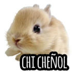 CHI CHEÑOL