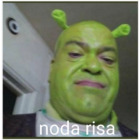 Noda risa