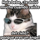 Hola bebe, ¿te dolió mucho cuando caíste del cielo? porque eres un ángel