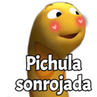 Pichula Sonrojada