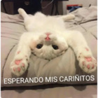 Esperando mis cariñitos