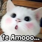 Te Amooo...