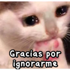 Gracias por ignorarme