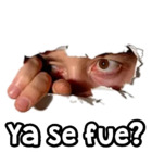 Ya se fue?