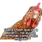 GENTE creen que va a llover?... no quiero terminar como pollo mojado