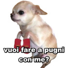 Vuoi fare a pugni con me?