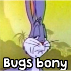 Bugs bony