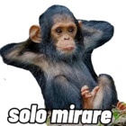 Solo mirare