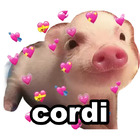 Cordi