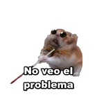 No veo el problema