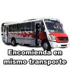 Encomienda en mismo transporte