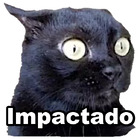 Impactado