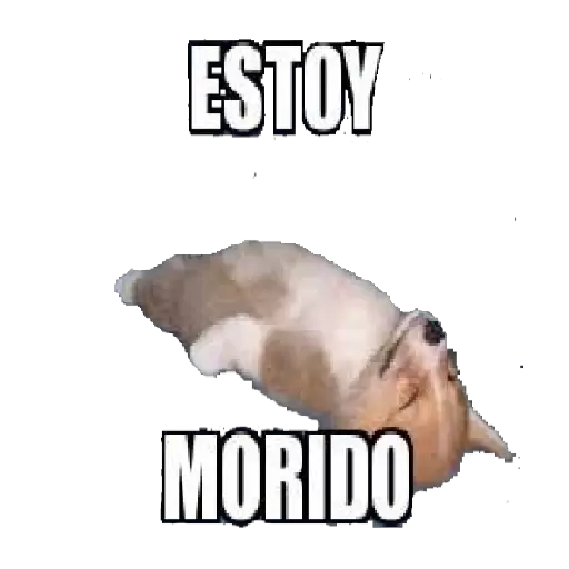 Estoy Morido Sticker De Whatsapp Descargarstickers 9404