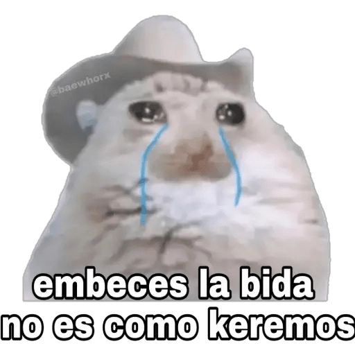 Sticker Embeces la vida no es como queremos PNG - DescargarStickers